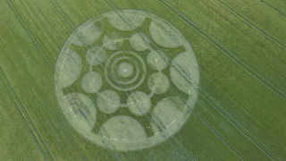 Illustration for article titled The Most Astonishing Crop Circle Artworks of 2014